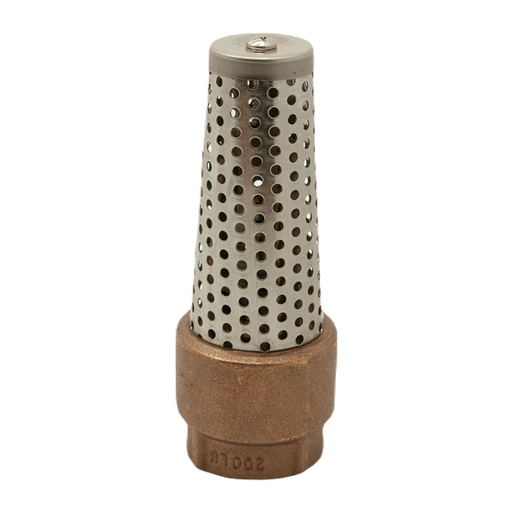Thrifco 6415161 1 Inch FIP Brass Foot Valve - Walmart Business Supplies