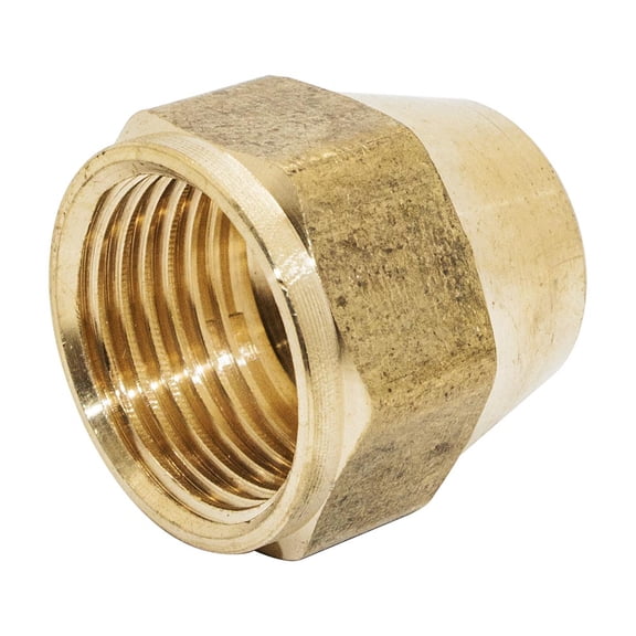 Thrifco 6941009 #41S 3/4 Inch Brass Flare Nut