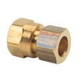 thumbnail image 1 of Thrifco Plumbing 4401085 66-C 1/2 Inch x 1/2 Inch Lead-Free Brass Compression FIP Adapter, 1 of 3