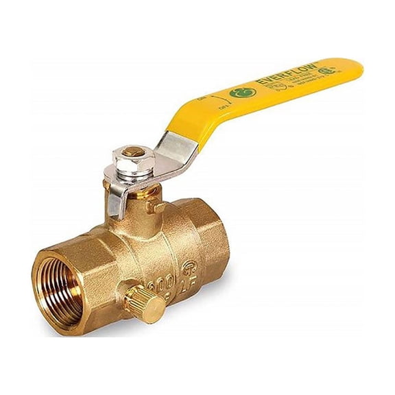 Thrifco Plumbing 6414022 1/2 Ip Ball Valve W/ S&W