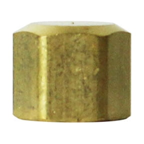 Thrifco Plumbing 6961010 61CX 1/4 Inch Lead-Free Brass Compression Cap