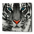 thumbnail image 1 of Epic Graffiti 'Thrill of the Tiger' Canvas Wall Art, 26"x26", 1 of 2