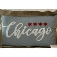 thumbnail image 1 of Thro Chicago Pillow, 12" x 20", 1 of 3