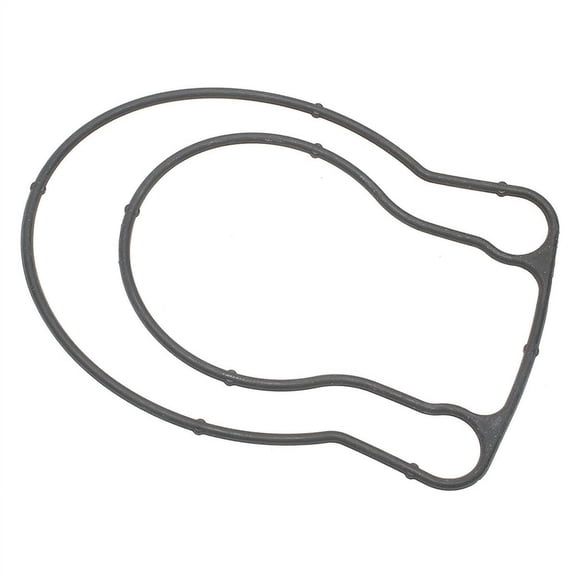 Throttle Body Injection Flange Gasket
