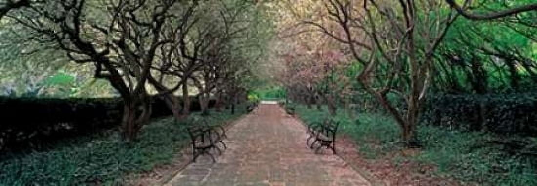 Through Conservatory Garden Central Park NYC Canvas Art - Richard Berenholtz (10 x 20)