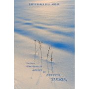 Through Disassembled Houses of Perfect Stones, Paperback
