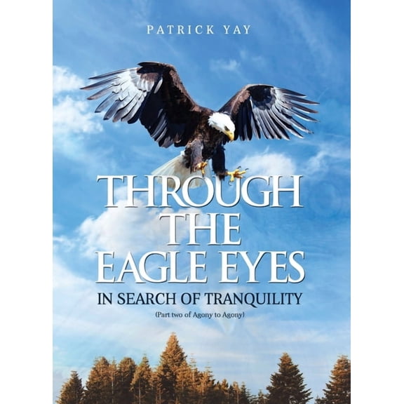Through the Eagle Eyes: Part Two of Agony to Agony, (Hardcover)
