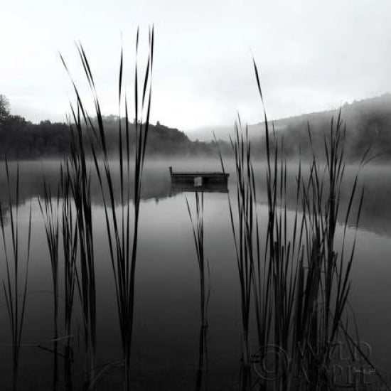 Through The Reeds At Dawn Canvas Art - Carla Kimball (24 x 24)