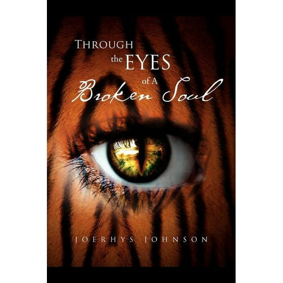 Through the Eyes of a Broken Soul