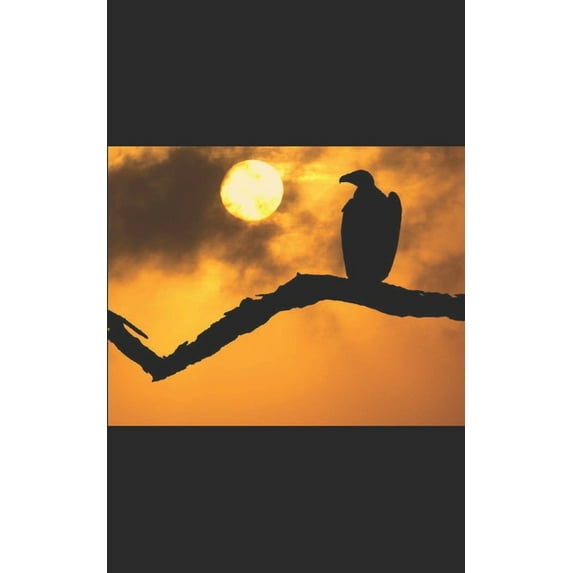 Through the Eyes of a Vulture, (Paperback)
