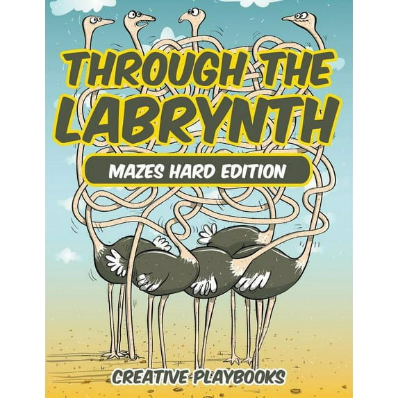 Through the Labyrinth Mazes Hard Edition (Paperback)