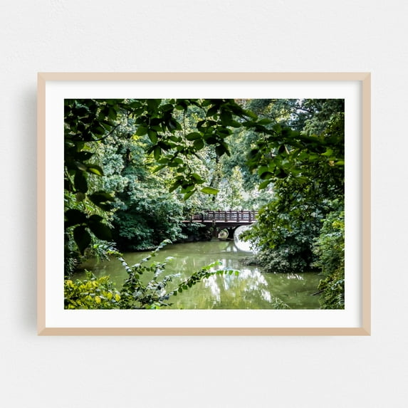 Through the Trees - Manhattan New York Photography Bridge Nature Woodland Lake Scenic Water Garden Oak Framed Wall Art Print 18 x 24 inches