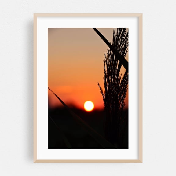 Through to the Setting Sun - New Jersey Photography Sunset Silhouette Nature Scenic Landscape Minimalist Calm Oak Framed Wall Art Print 5 x 7 inches