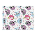 thumbnail image 1 of Throw Blanket for Couch - Blue Purple Pink Owl Super Soft Fuzzy Comfy Warm Throw Blanket, Cozy Lightweight Funny Plush Flannel Blanket Throws for Sofa and Bed All Season, 1 of 5