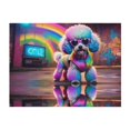 thumbnail image 1 of Throw Blanket for Couch - Rainbow Poodle Urban Street Super Soft Fuzzy Comfy Warm Throw Blanket, Cozy Lightweight Funny Plush Flannel Blanket Throws for Sofa and Bed All Season, 1 of 5