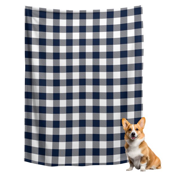 Throw Blanket for Couch, Rustic Buffalo Check Soft Fleece Blanket 40x50in, Cozy Warm Flannel Throw Blankets All Season Use, Blue and White Lattice Lightweight Blankets for Sofa Bed