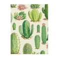 thumbnail image 1 of Throw Blanket for Couch Sofa and Bed, Cactus And Succulent Super Soft Plush Throw Blanket, Fuzzy Cuteness Comfy Warm Washable Flannel Blanket & Throws for All Season, 1 of 5