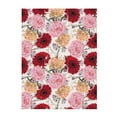 Throw Blanket for Couch Sofa and Bed, Red Pink Carnations Flowers Super