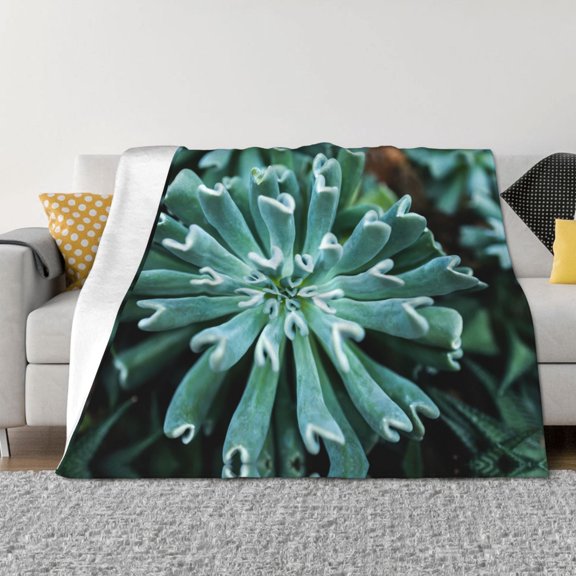 Throw Blanket for Couch - Teal Cactus Soft Comfy Lightweight Cozy Warm Throw Blanket, Fuzzy Plush Flannel Blanket & Throws for Sofa and Bed All Season