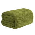 thumbnail image 1 of Throw Blanket Cozival Textured Waffle Weave Flannel Throw Blanket, Soft And Lightweight for Sofa, Bed, Or Air Conditioning Use, Cozy Nap Companion in Solid Colors, 39X55 Inch, Waffle Blanket, Green6, 1 of 5