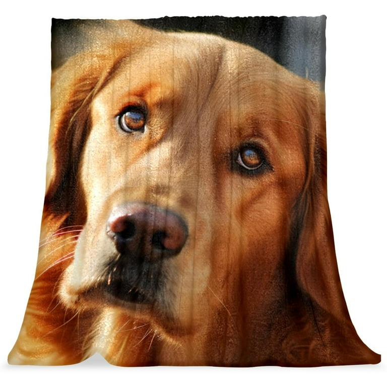 Throw Blanket Soft Blankets and Throws 59x51.1 in Dog Golden Retriever Walmart