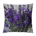 thumbnail image 1 of Throw Pillow Case  Square Cushion Cover Standard Pillowcase for Men Women Home Decorative Sofa Armchair Bedroom Livingroom, 1 of 5