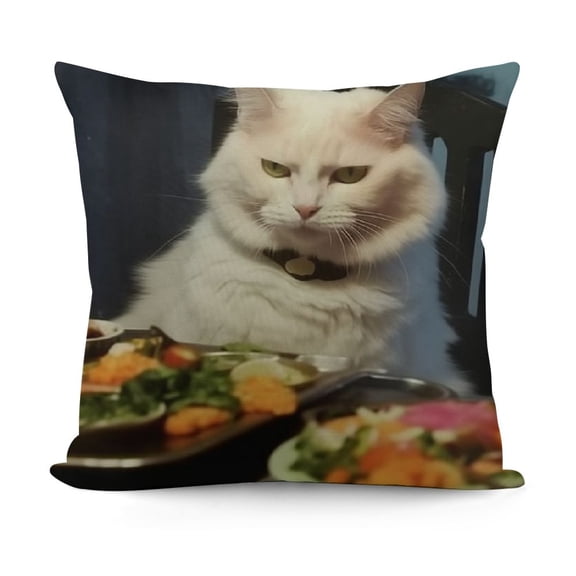 Throw Pillow Case Woman Yelling at A Salad Cat Meme Cushion Home Pillowcase Living Room Soft Square Cover for Decor Bedroom Couch