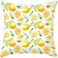 thumbnail image 1 of Throw Pillow Cases Fruit Lemon with Leaves Pillow Cover Tangerines Oranges Super Soft Standard Yellow Citrus Cushion Cover for Home Couch Decorations 18x18 Inches, 1 of 4
