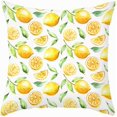 thumbnail image 1 of Throw Pillow Cases Fruit Lemon with Leaves Pillow Cover Tangerines Oranges Super Soft Standard Yellow Citrus Cushion Cover for Home Couch Decorations 18x18 Inches, 1 of 4