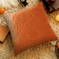 thumbnail image 1 of Throw Pillow Cover 18x18 Inch Faux Fur Polyester, Hidden Zipper Soft Texture Fall Decor, Dark Gray Orange Yellow Green Blue, Couch Sofa Cushion Case Machine Washable No Insert Included, 1 of 6