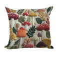 thumbnail image 1 of Embroidered Throw Pillow Covers，Summer Boho Decorative Pillow Cover with Zipper for Living Room Couch Sofa Bed (18"x18"), 1 of 6