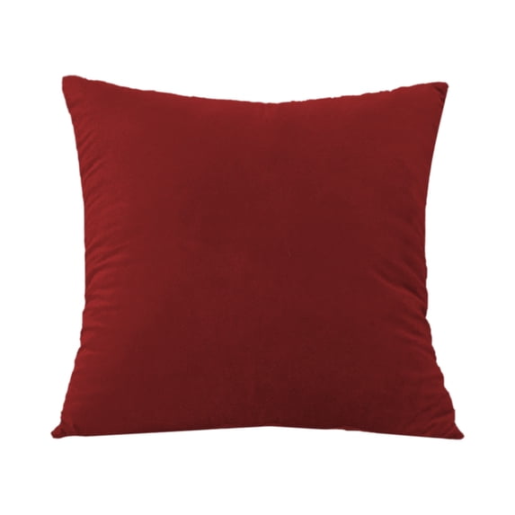 Throw Pillow Cover Double-Sided Plush with Concealed Zipper 45x45cm for Sofa Throw Pillows, Home Decor, Bed, Car, Gift