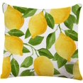 thumbnail image 1 of Throw Pillow Cover Lemon Lime Tree Home Decor Pillowcase for Sofa 18x18 Inches, 1 of 6