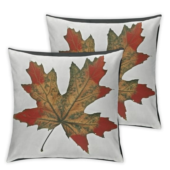 Throw Pillow Cover Oh Io Vintage Red Buckeye Nut States Decorative Pillow Case Home Decor Square Inch Pillowcase