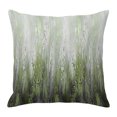 thumbnail image 1 of Throw Pillow Covers 16x16 Inch, Abstract Green Decorative Pillow Cases for Couch Sofa Bed, Modern Gradient Minimalist Mottled Art Cotton Linen Square Home Decor Pillowcases with Hidden Zipper, 1 of 7