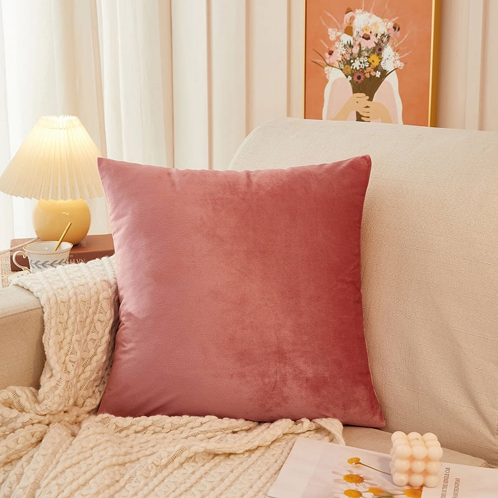 Throw Pillow Covers 18x18 inch Cozy Soft Velvet Pillow Cases Cushion