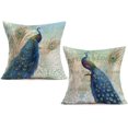 thumbnail image 1 of Throw Pillow Covers 2Pack Colorful Peacock with Vintage Feather Decorative Square Pillowcases Cotton Linen Throw Pillow Case Cushion Cover 18 X 18 Inch (Peacock Tail), 1 of 5