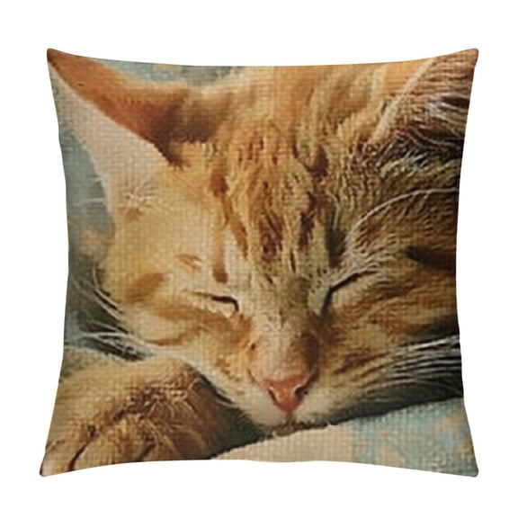 Throw Pillow Covers Sleeping Orange Tabby Cat Pillowslip Square Sofa Cute es Cushion Cases Pillowcases