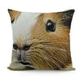 thumbnail image 1 of Throw Pillow Covers Small Guinea Pig Sitting Pillowcase Decor for Room Bed Chair,, 1 of 5