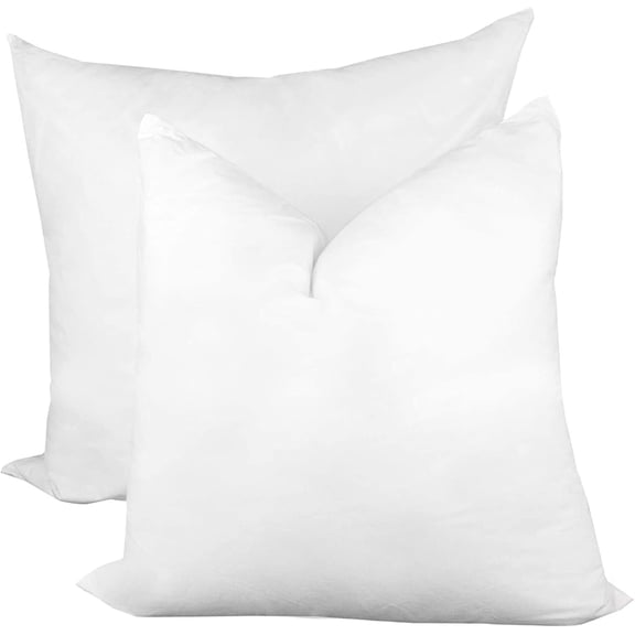 Throw Pillow Insert 22" x 22" (2 Pack) Synthetic Down with 100% Cotton Cover Faux Alternative Decorative Form