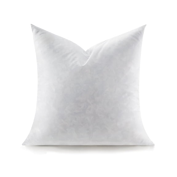 Throw Pillow Insert Soft Fluffy Square 22 X 22 Inches Decorative And Down Filled Euro Pillows For Bed Couch Cushion