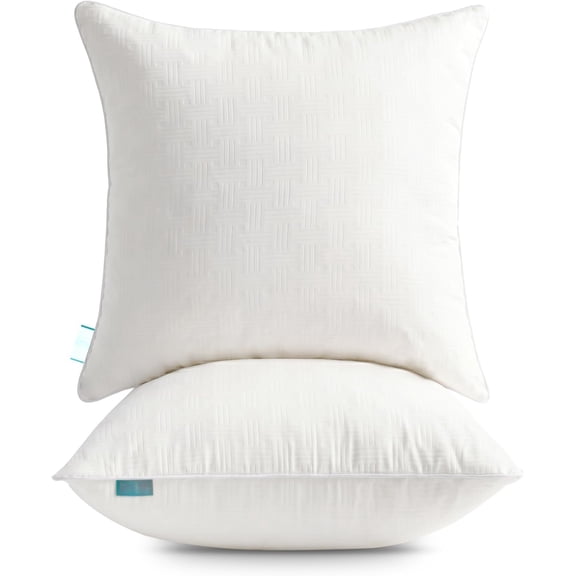 Throw Pillow Inserts 16x16 Set of 2 - Full  Down Alternative Pillow Inserts for Couch, Soft Decorative Square Pillow Forms, Machine Washable for Sofa Bed Living Room, Beige