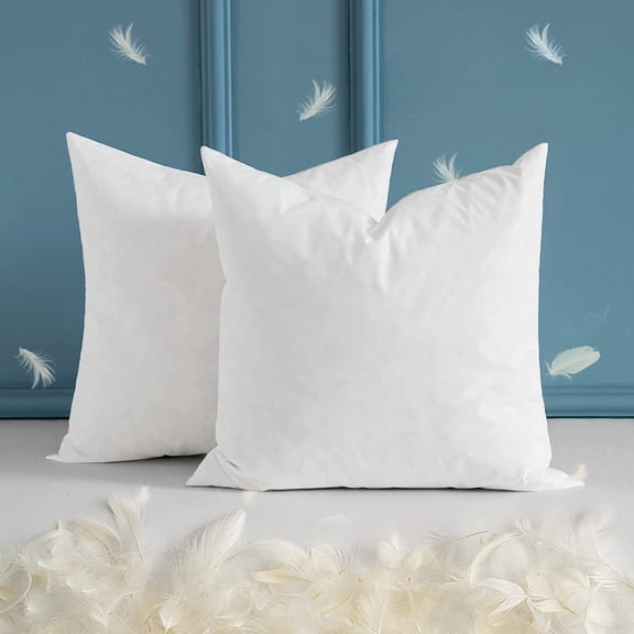 Throw Pillow Inserts 20x20 Inch 2 Pack, Down Feather Cotton Sham Stuffers