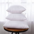 thumbnail image 1 of Throw Pillow Inserts,Multiple Sizes Sofa Pillow Core,Milk Silk Pillow Stuffer, Premium White Pillows for Bed, Couch,and Cushion, 1 of 8