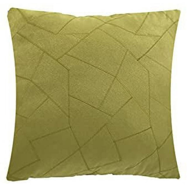 Throw Pillows Celery with STUFFING INCLUDED, Set of 2 18x18 Couch Pillows, Embroidered Bed Pillows for Home Décor, Filling 100% Polyester Fiber, Made in USA