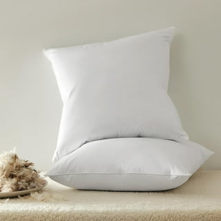 Feather Pillow Inserts 18x18