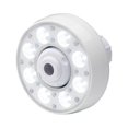 thumbnail image 1 of Thru Wall LED Light, 1 of 1