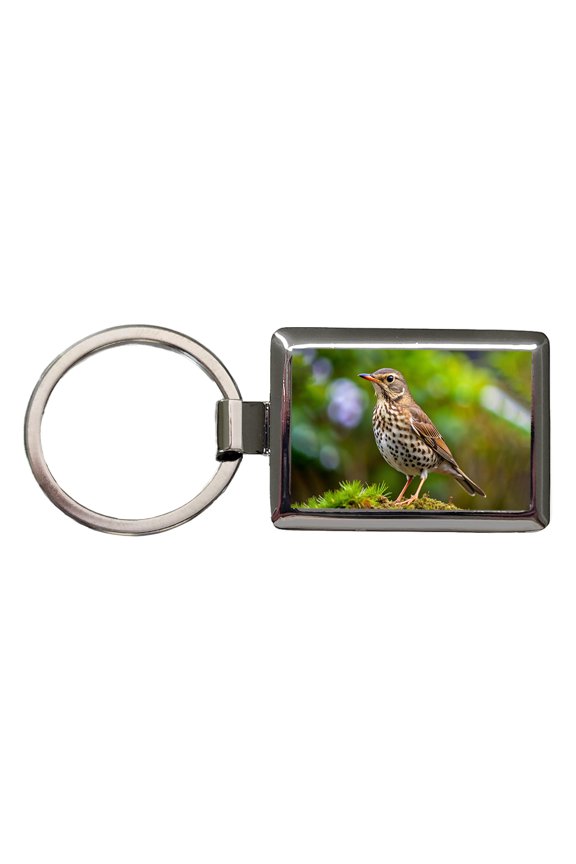Thrush Bird Backyard Bird Metal Rectangle Keychain