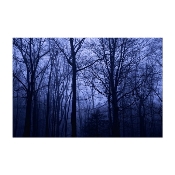 Thrushwood at Dusk - Morristown New Jersey Photography Forest Nature Night Sky Winter Scenic Landscape Surrealism Unframed Wall Art Print 4 x 6 inches