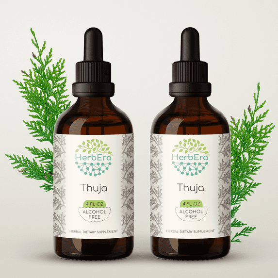 HerbEra Thuja Tincture, Herbal Dietary Supplement for Immune Support, Thuja (Thuja plicata) Dried Leaf Extract, Natural, Alcohol-Free, Drops 2x4 oz